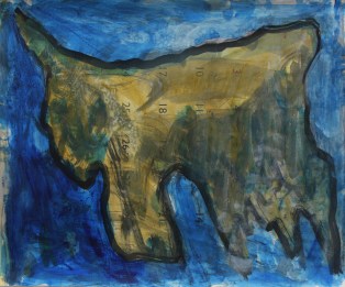 akatsuka canary blue yellow