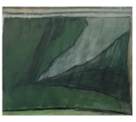 TNN1 homepage pics vert 02